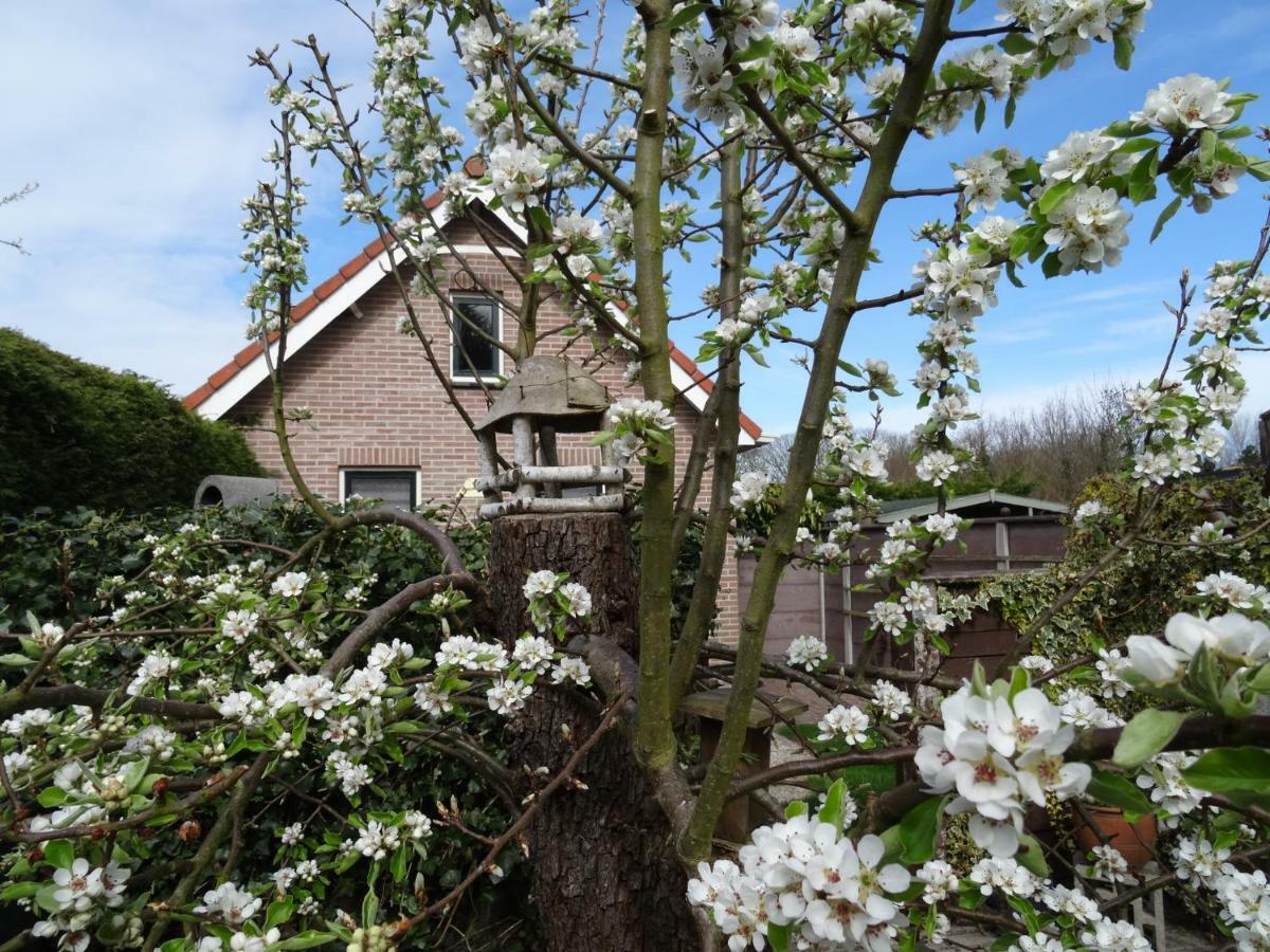 Het Pronkje Villa Renesse Exterior photo